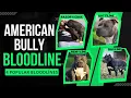 American Bully Bloodlines Razor s Edge Gottiline Remyline Daxline