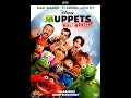 Lagu Muppets Most Wanted 2014 DVD Overview