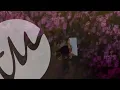 Download Lagu Verwey - Fledgling (Official Video)