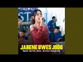 Download Lagu Jarene Uwes jodo