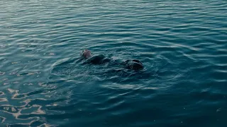 Séquence Yours Prod Laminor Beatz Official MV 