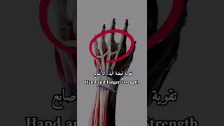 تمارين تقوية قبضة اليد والأصابع ذراع فولاذية في المنزل 