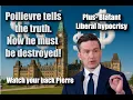 Lagu The Political DESTRUCTION of Pierre Poilievre BEGINS - It's the usual suspects