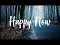Kygo – Happy Now ft.Sandro Cavazza (lyrics)