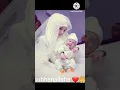 Download Lagu apne maa baap ka dil na dukha short #video #plese #like  #subscribe