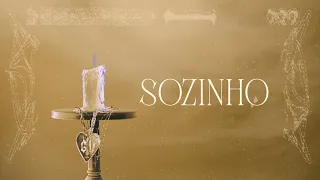 MC CABELINHO - SOZINHO FT. TRIZ (PROD. PALMA)