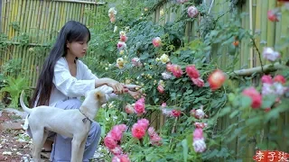 best time of year to comsume juicy and tender bamboo shoots pick as much as you like liziqi channel