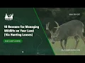 10 Reasons for Managing Wildlife on your Land Base Camp Leasing