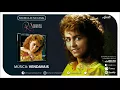 Download Lagu Shirley Carvalhaes - Vendavais