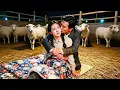 Lagu Rural girl cast out to sheep pen becomes an older man’s cure, pregnant—he’s powerful tycoon CEO