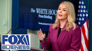 White House addresses possible taxpayer checks from DOGE savings