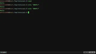 BASH Reply to Read Linux Shell Tutorial