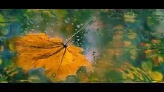 Цей листопад Українська пісня 