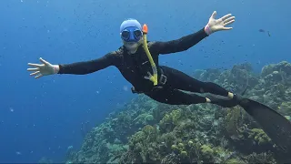 What to do in Curaçao. Swimming, learning, friends and music