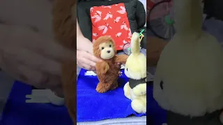 Le gusta la pasta