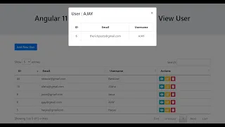 Angular 11 Crud Tutorial with Service - View User