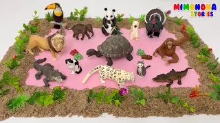 Adivina el ANIMAL 🐢 ¿Que ANIMAL corre mas rapido? 🐅 ¿Que ANIMAL camina mas lento? ✨ Mimonona Stories