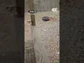 Viewer captures hailstorm in Trinity Texas