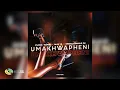 Funktone, NayB and Mbalenhle M - uMakhwapheni (Official Audio)