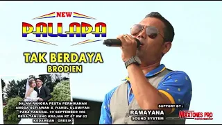 brodin tak berdaya new palapa live tanjung kedamean gresik