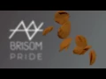 Brisom - Pride (Audio)