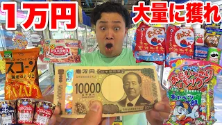1万円「クレーンゲームお菓子縛り」で子ども達のおやつを大量GET攻略できるか!?