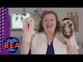 Download Lagu De dokter Bea show: een liedje over de vagina