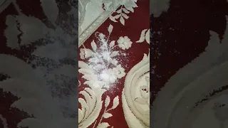 Carpet Cleaning Without Water تنظيف وتعقيم السجادات بدون ماء 
