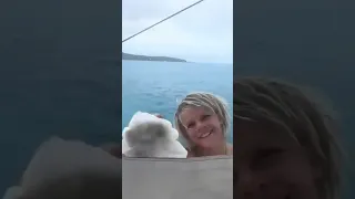 Boat jobs?! #sailingfamily #kids #boatlife #family