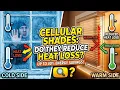 Can Cellular Shades Reduce Heat Loss in the Winter
