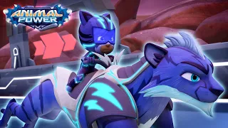 pj masks crash track trick animal power cartoons for kids animation for kids full episodes