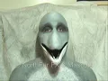 Dolphin Muzzle