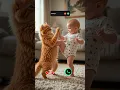 Download Lagu #ringtone #smartphone #music #ringtones #song #funnycallringto #funny #cat #viringtone #mobilering