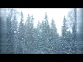 Solstice - Peter Bark [Full BeatTape]