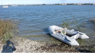 STRANDED ON SHELL ISLAND