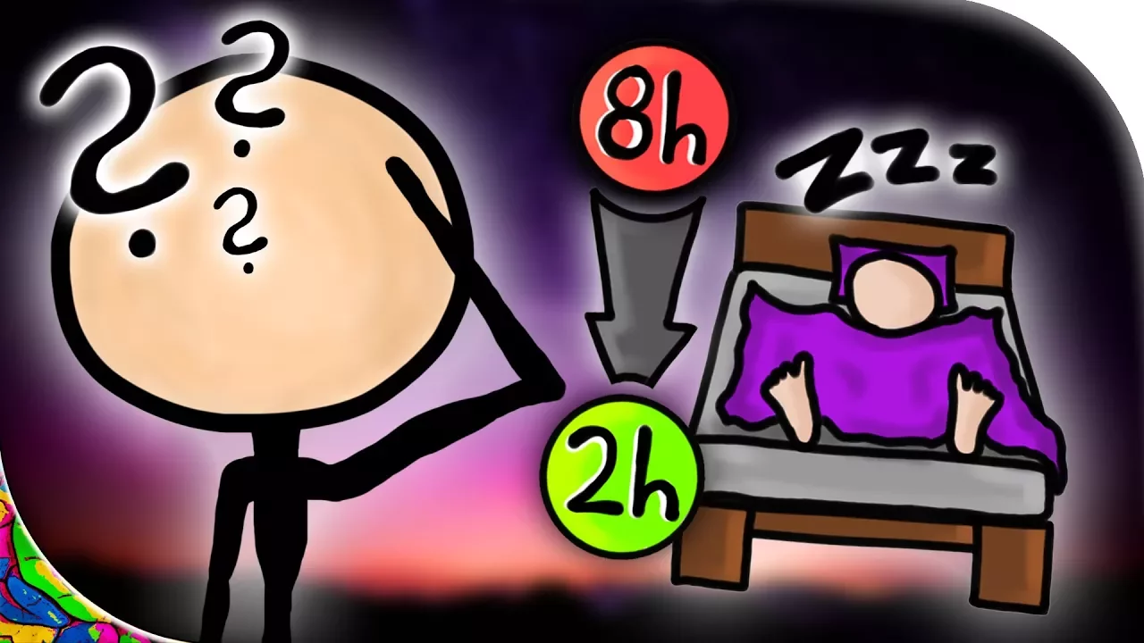 Was ist Polyphasischer Schlaf?