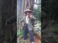 Download Lagu pendekar sakti dari kebon toge