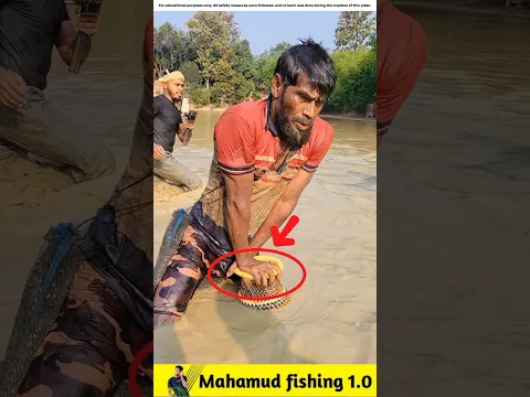 What Fish Did Uncle Find in Muddy Pond Water?🐟#viralvideo #facts #fishinggear #fishinglife #fish