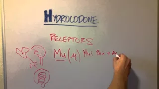 How Hydrocodone and other opioids Works