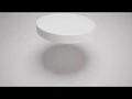 Wilson Wildlife Logo Animation