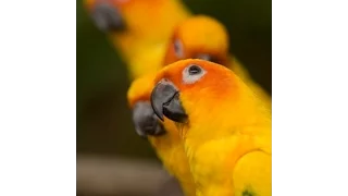 ترنيمة رائعة للأفراح احنا بقينا لبعض حقيق هااااااااااى 2015 11  ترنيمة رائعة للأفراح احنا بقينا لبعض حقيق هااااااااااى 2015 11