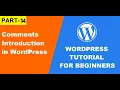 Part-14 Comments Introduction In WordPress Tutorial 2022