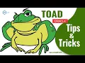 TOAD for Oracle TIPS and Tricks Oracle TOAD Tutorial Development in Oracle