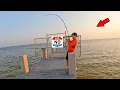 Download Lagu Monsters Were Hiding Around This US Government Pier!
