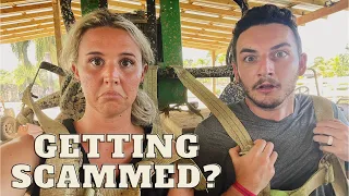 Another FRUSTRATING Punta Cana Experience Dominican Republic