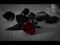 Download Lagu Turkish Sad Violin Oriental Rap Beat Instrumental  [Prod. By O5Beats] (Slowed) Gül