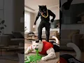 Download Lagu 🐱💊💥stepmom poisoned the dad… but the kitten brought him back