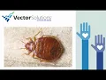 VECTOR SOLUTIONS
