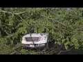 Storm damage in Woodbridge Virginia neighborhood