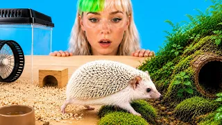 Can A Pet Hedgehog Survive In The Wild? (Experiment)